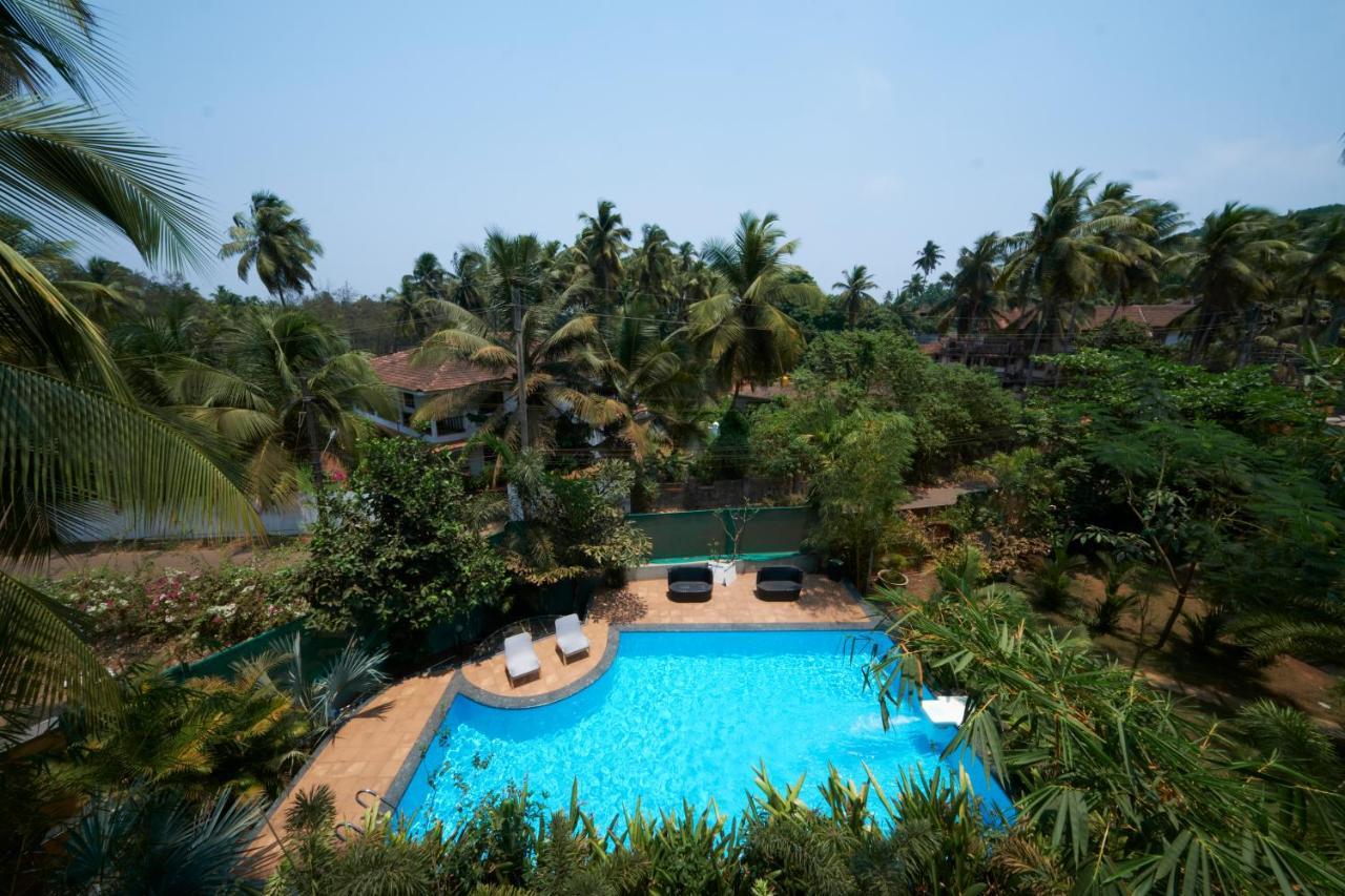 Fig House Anjuna-Chapora Road , Siolim 1Bhk Suite Oxel Exterior photo
